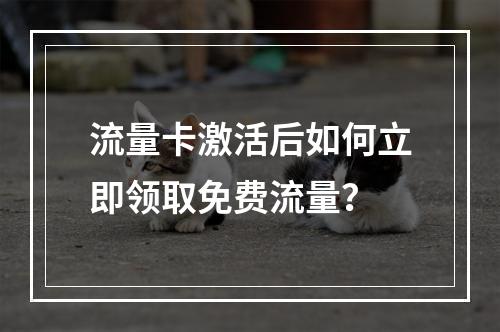 流量卡激活后如何立即领取免费流量？