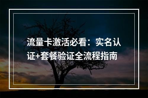 流量卡激活必看：实名认证+套餐验证全流程指南