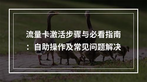 流量卡激活步骤与必看指南：自助操作及常见问题解决
