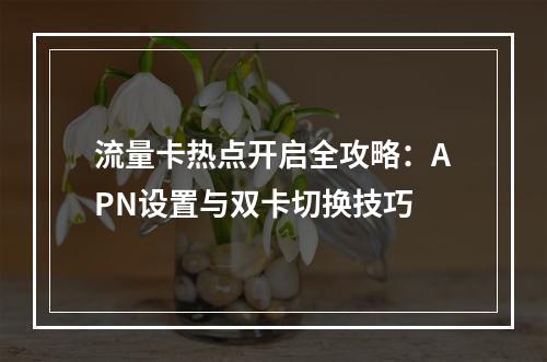 流量卡热点开启全攻略：APN设置与双卡切换技巧