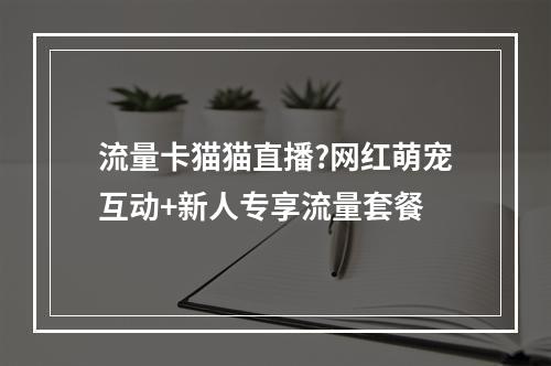 流量卡猫猫直播?网红萌宠互动+新人专享流量套餐