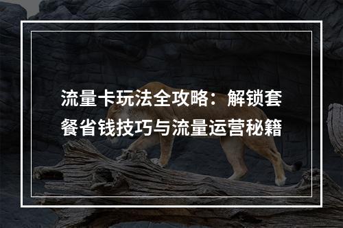 流量卡玩法全攻略：解锁套餐省钱技巧与流量运营秘籍