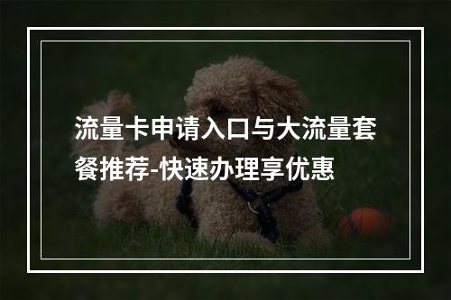 流量卡申请入口与大流量套餐推荐-快速办理享优惠