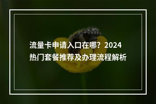 流量卡申请入口在哪？2024热门套餐推荐及办理流程解析