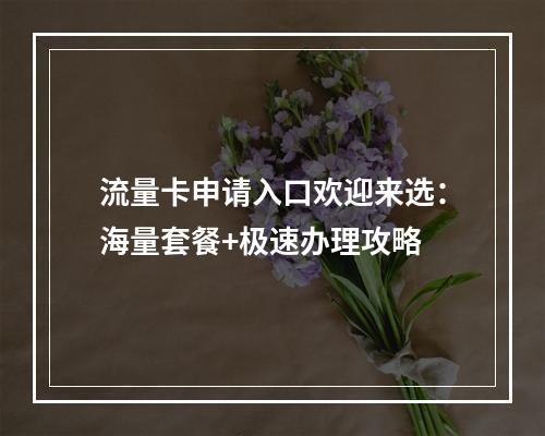 流量卡申请入口欢迎来选：海量套餐+极速办理攻略