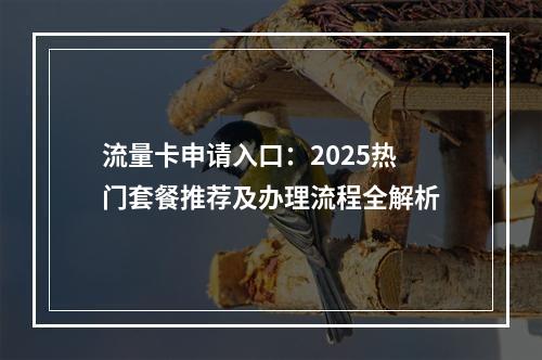 流量卡申请入口：2025热门套餐推荐及办理流程全解析
