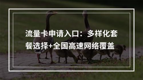 流量卡申请入口：多样化套餐选择+全国高速网络覆盖