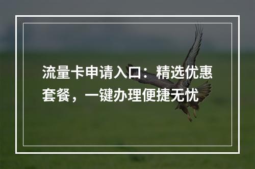 流量卡申请入口：精选优惠套餐，一键办理便捷无忧