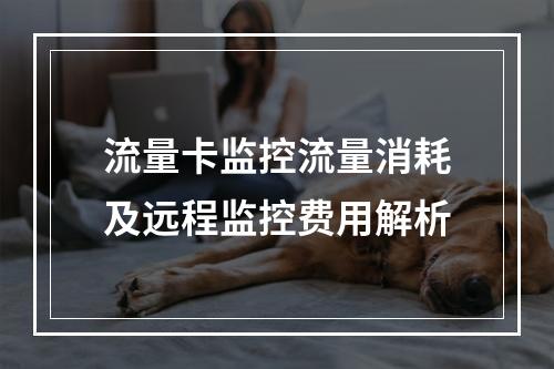 流量卡监控流量消耗及远程监控费用解析
