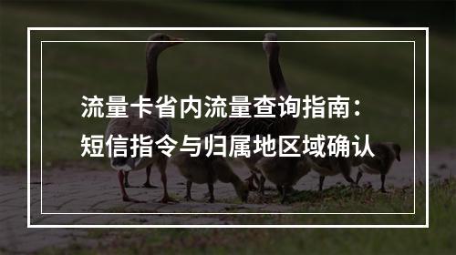 流量卡省内流量查询指南：短信指令与归属地区域确认