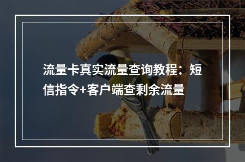 流量卡真实流量查询教程：短信指令+客户端查剩余流量