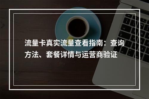 流量卡真实流量查看指南：查询方法、套餐详情与运营商验证