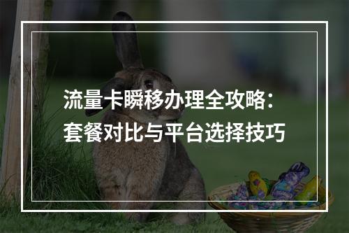 流量卡瞬移办理全攻略：套餐对比与平台选择技巧