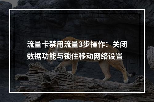 流量卡禁用流量3步操作：关闭数据功能与锁住移动网络设置