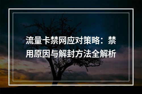 流量卡禁网应对策略：禁用原因与解封方法全解析