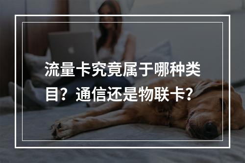 流量卡究竟属于哪种类目？通信还是物联卡？