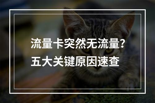 流量卡突然无流量？五大关键原因速查