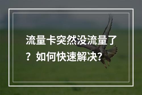 流量卡突然没流量了？如何快速解决？