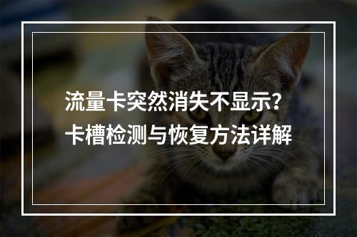 流量卡突然消失不显示？卡槽检测与恢复方法详解