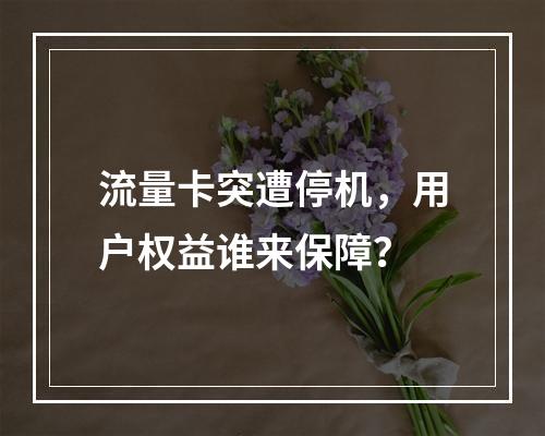 流量卡突遭停机，用户权益谁来保障？