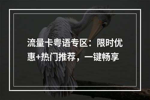 流量卡粤语专区：限时优惠+热门推荐，一键畅享