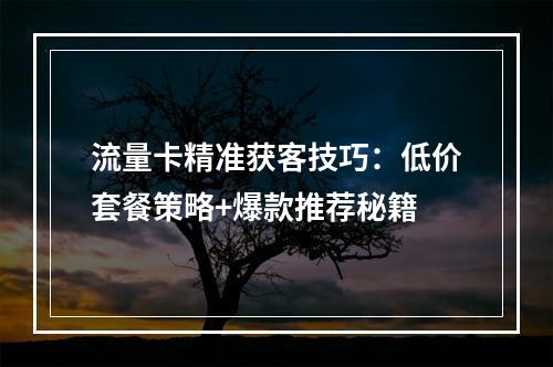流量卡精准获客技巧：低价套餐策略+爆款推荐秘籍