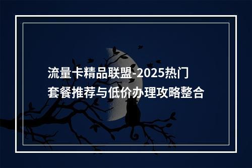 流量卡精品联盟-2025热门套餐推荐与低价办理攻略整合