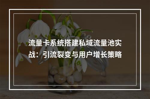 流量卡系统搭建私域流量池实战：引流裂变与用户增长策略