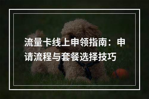 流量卡线上申领指南：申请流程与套餐选择技巧