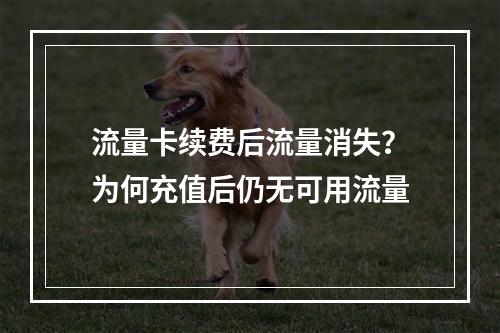 流量卡续费后流量消失？为何充值后仍无可用流量