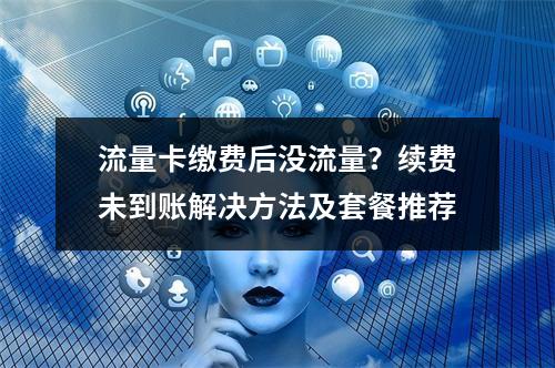 流量卡缴费后没流量？续费未到账解决方法及套餐推荐