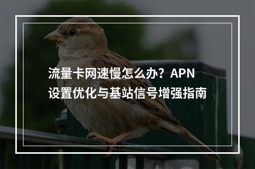 流量卡网速慢怎么办？APN设置优化与基站信号增强指南