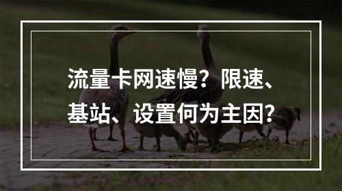 流量卡网速慢？限速、基站、设置何为主因？