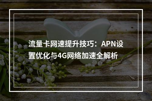 流量卡网速提升技巧：APN设置优化与4G网络加速全解析