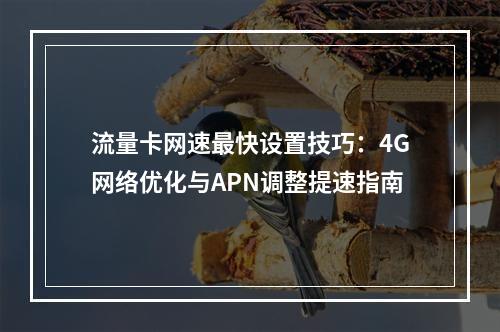 流量卡网速最快设置技巧：4G网络优化与APN调整提速指南
