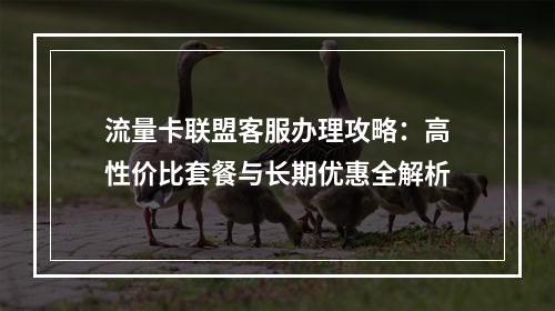 流量卡联盟客服办理攻略：高性价比套餐与长期优惠全解析
