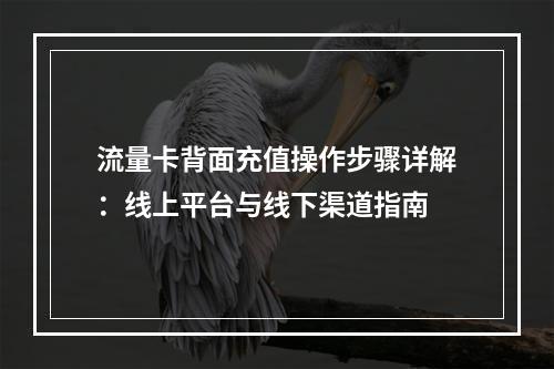 流量卡背面充值操作步骤详解：线上平台与线下渠道指南
