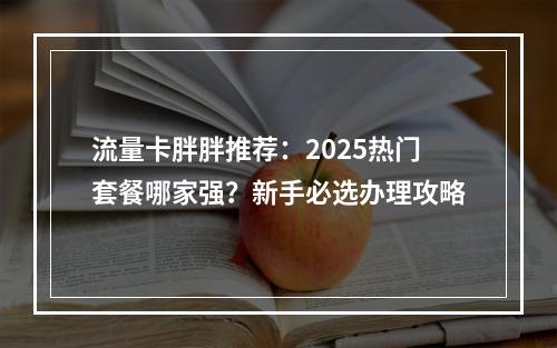 流量卡胖胖推荐：2025热门套餐哪家强？新手必选办理攻略