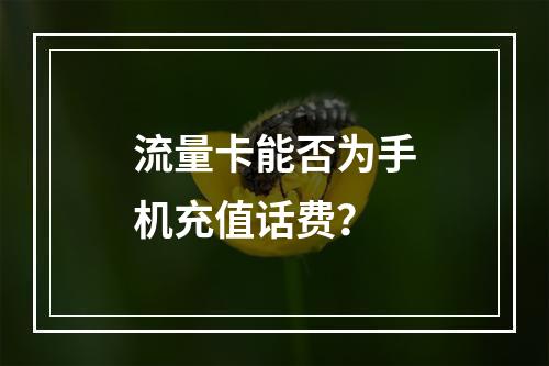流量卡能否为手机充值话费？