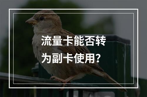 流量卡能否转为副卡使用？