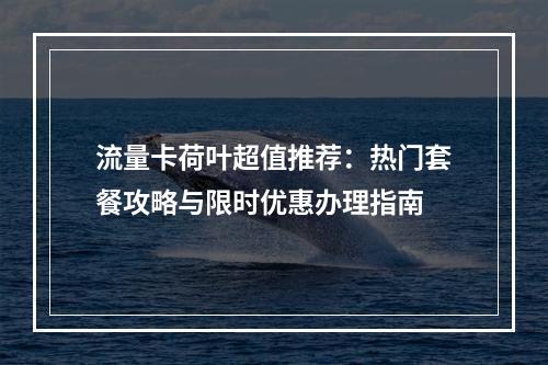 流量卡荷叶超值推荐：热门套餐攻略与限时优惠办理指南