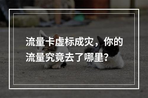流量卡虚标成灾，你的流量究竟去了哪里？