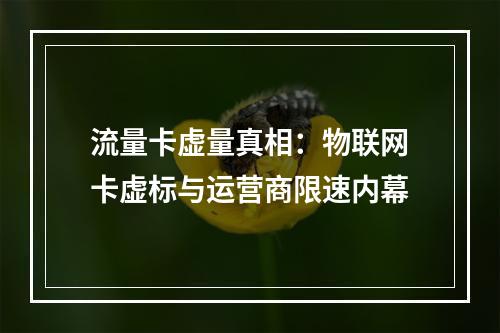 流量卡虚量真相：物联网卡虚标与运营商限速内幕