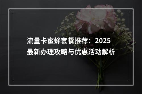 流量卡蜜蜂套餐推荐：2025最新办理攻略与优惠活动解析