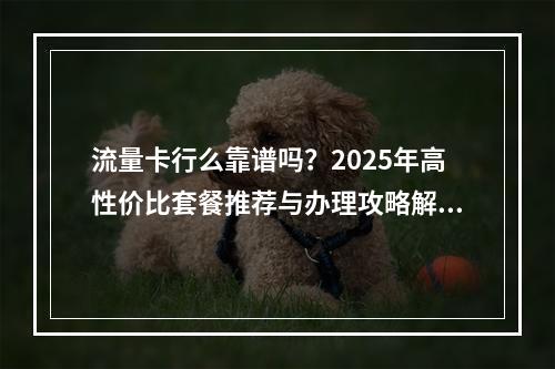 流量卡行么靠谱吗？2025年高性价比套餐推荐与办理攻略解析