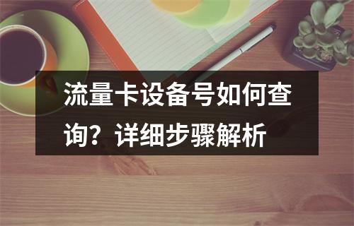 流量卡设备号如何查询？详细步骤解析