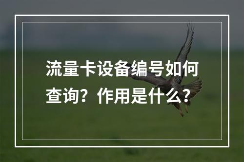 流量卡设备编号如何查询？作用是什么？