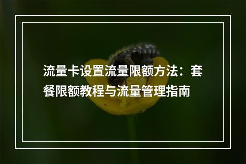 流量卡设置流量限额方法：套餐限额教程与流量管理指南