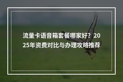流量卡语音箱套餐哪家好？2025年资费对比与办理攻略推荐