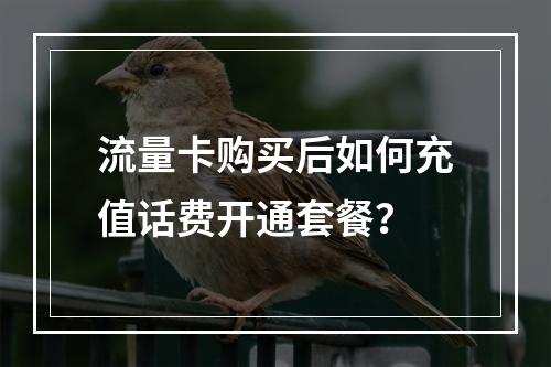流量卡购买后如何充值话费开通套餐？